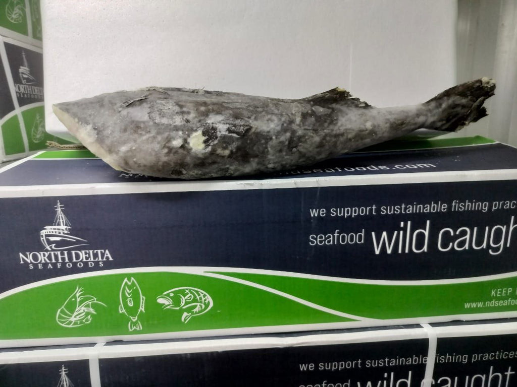 Frozen Wild Caught Black Cod